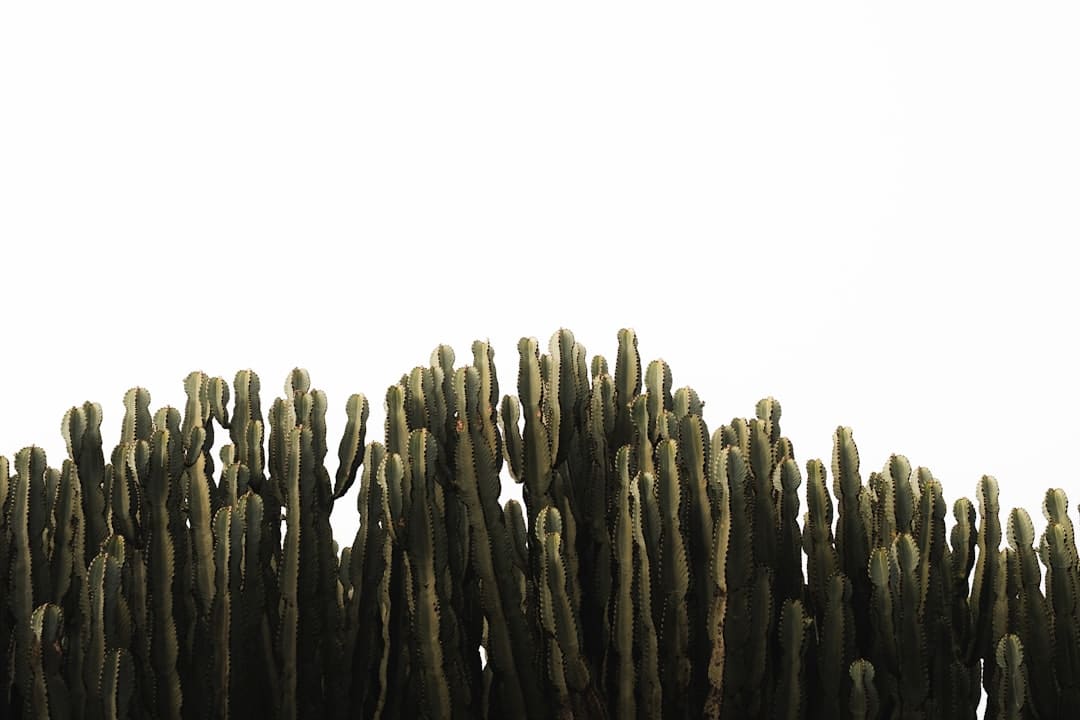 以箭为媒绘就体育文旅交融新图景
